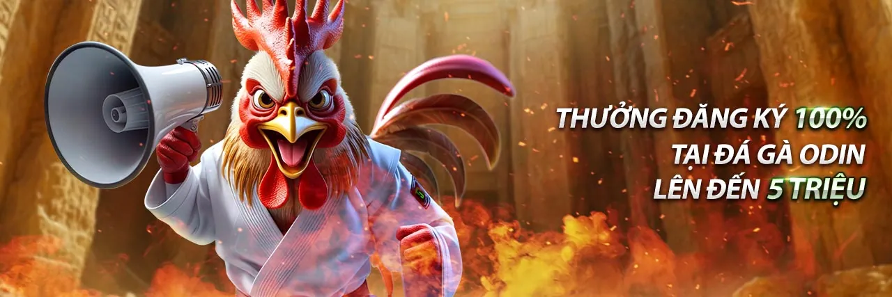 Hệ thống bảo mật SV288 và SV388